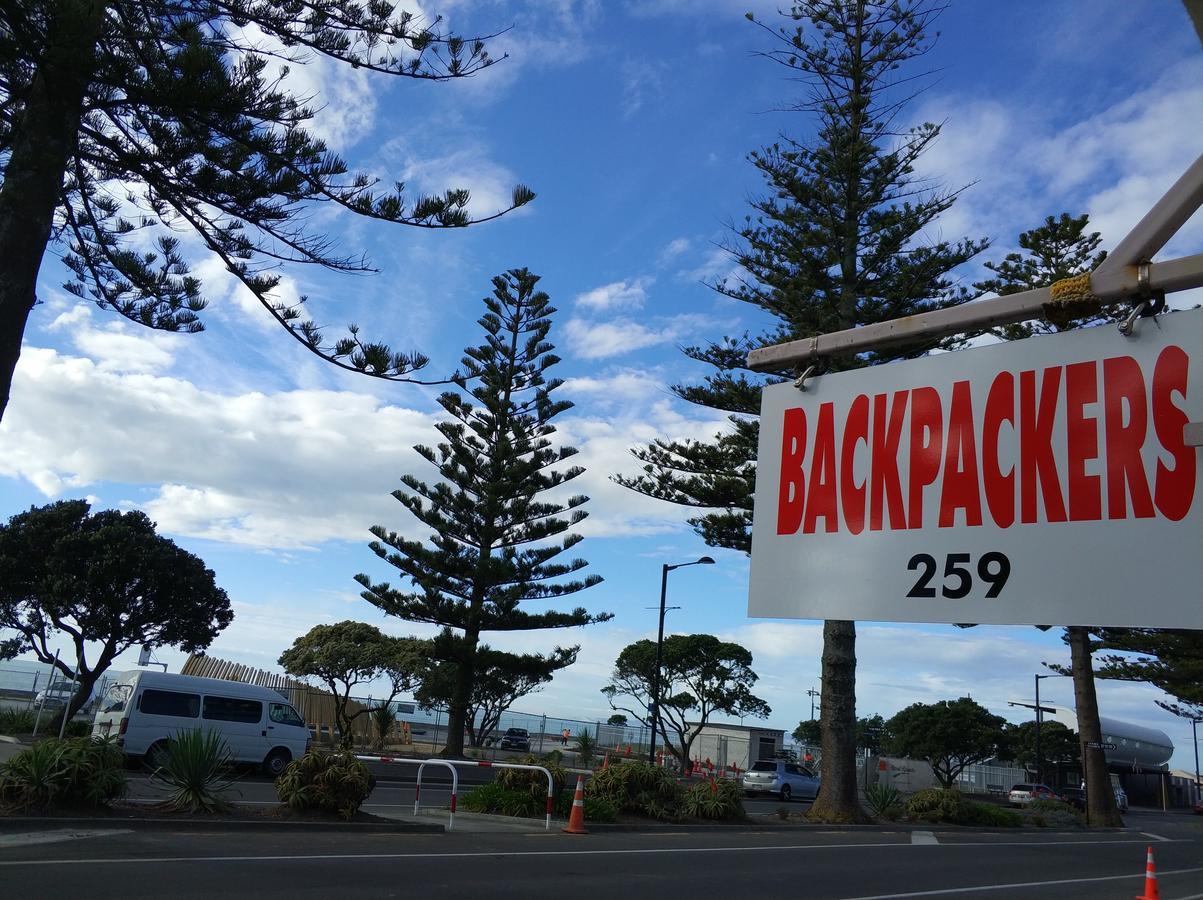 Napier Art House Backpackers 호스텔 외부 사진